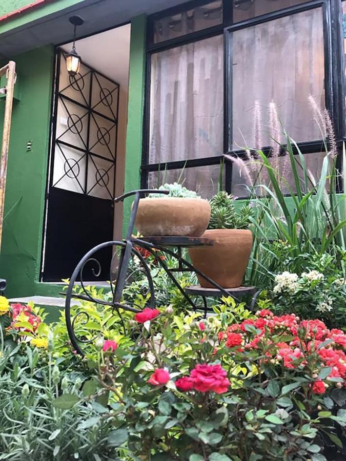 Casa Comoda Con Patio A 4 Cuadras De La Catedral. Oaxaca Zewnętrze zdjęcie